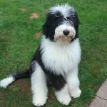 Wayne Somers - @wayne.somers - Instagram
