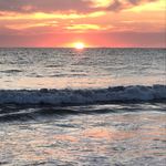 Wayne Somerville - @somervillewayne - Instagram