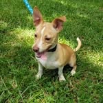 Bruce Wayne Soto - @brucewaynesoto - Instagram