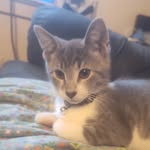 Wayne Sowers - @wayne_x_sowers - Instagram
