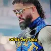 Wayne Spain - @wrestlemania_kam0 - TikTok