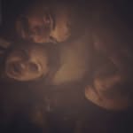 Wayne Sparks - @wayne.sparks.5437 - Instagram