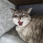 Cooper Wayne Speaks - @onlywinterbitelover - Instagram