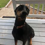 Tommy Wayne Spears - @redeyestranger - Instagram