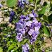 Wayne Specht - Facebook