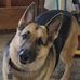 Wayne Sparks - Facebook