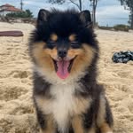 @luigi.waynespitz - Instagram