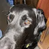 Wayne SpitzerSpitz - @waynespitzer - TikTok