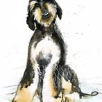 Waynem Spitz - Facebook