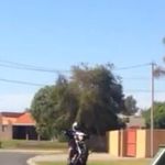 Wayne Spriggs - @wayne.spriggs - Instagram