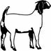 Wayne FFA Spring Classic - Facebook