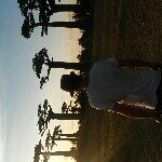 Wayne Spring - @waynespring - Instagram