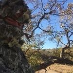 Wayne Springs - @waynesprings - Instagram