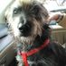 Wayne Stepp - Facebook