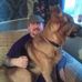 Wayne Stacey - Facebook