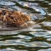 Wayne Stacey Photography - Facebook