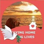 Wayne Stack - @wayne.stack - Instagram