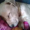 Stacy_Wayne - @stacy_wayne - TikTok