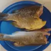 Stacy Wayne - @stacy.wayne3 - TikTok