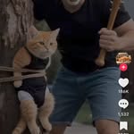 Wayne stacy - @wayne47799 - Instagram