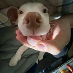 Wayne Stalnaker - @wayne._.stalnaker - Instagram