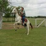 Wayne Stanton - @stanton.wayne - Instagram