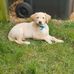 Wayne Stanton - Facebook