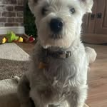 Wayne Stanton - @waynestanton34 - Instagram