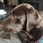 Wayne Staples - @waystap - Instagram