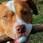 wayne starling - @waynestarling647 - Instagram