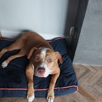 wayne - @waynestarling6472022 - Instagram
