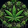 its 4:20 time - @waynestarner3 - TikTok