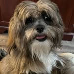 Wayne Starnes - @starnes3160 - Instagram
