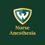 Wayne State Nurse Anesthesia - @waynestatena - Instagram