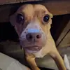 Wayne Osteen - @wayne.osteen - TikTok