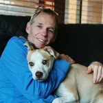 Wayne Steer - @waynesteer65 - Instagram