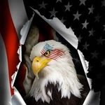 Wayne Stegall - @waynestegall - Instagram