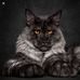 Wayne Steinert - Facebook