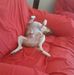 Wayne Steinhardt - Facebook
