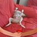 Wayne Steinhardt - Facebook