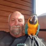 Wayne Stenberg - @wayne.stenberg.9 - Instagram