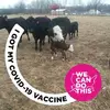 waynehalstenberg - @waynehalstenberg - TikTok