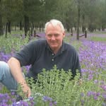 Wayne Stening - @steningwayne - Instagram