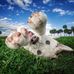 Wayne Stock - Facebook