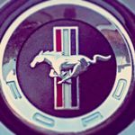 Wayne Stock-Morgan - @waynesm390 - Instagram