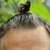 Wayne Stockwell - Facebook