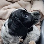 Wayne Sturman - @wayne_sturman - Instagram