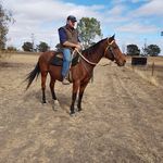 Wayne Sutherland - @waynesutherland62 - Instagram