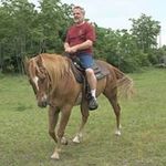 Wayne Sweeney - @avman598 - Instagram