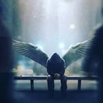 wayne taberik - @waynetaberik - Instagram
